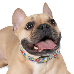 Eloise Dog Collar